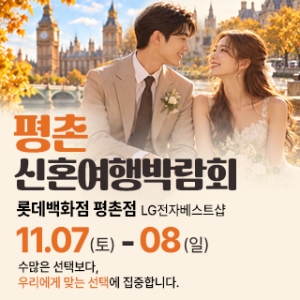 평촌 신혼여행 박람회